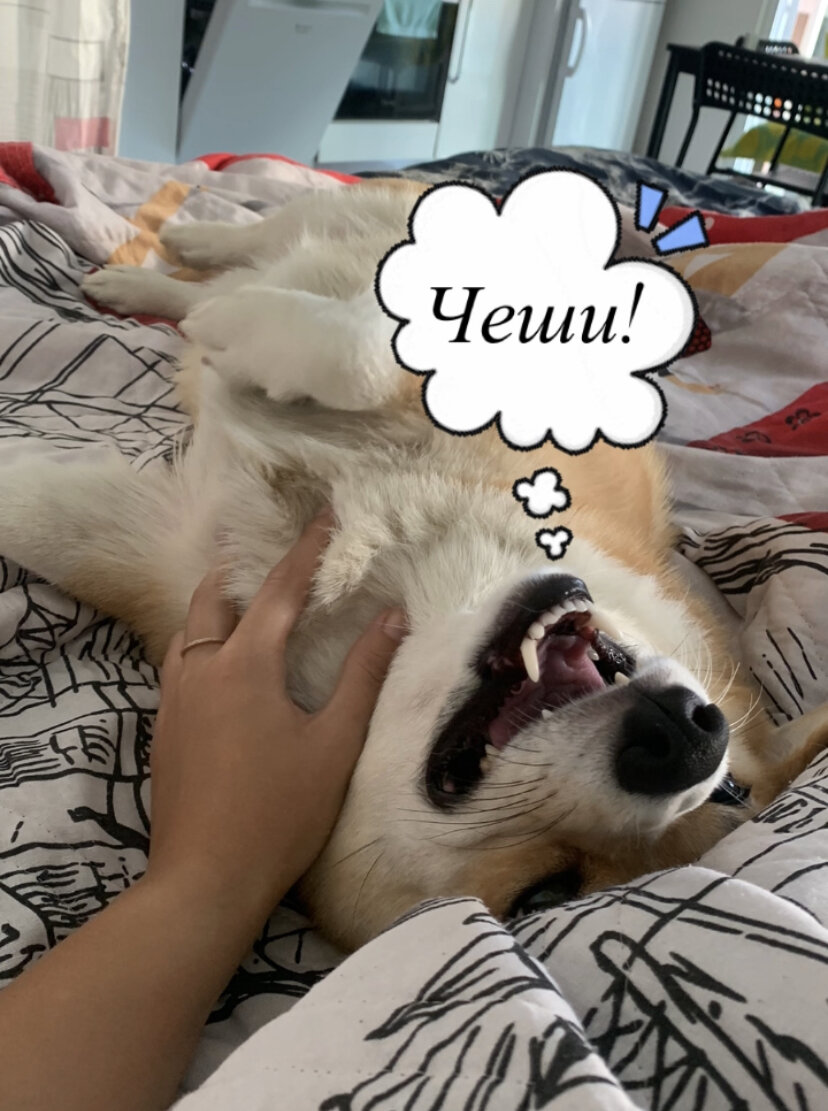 Асти чесалась круглосуточно.