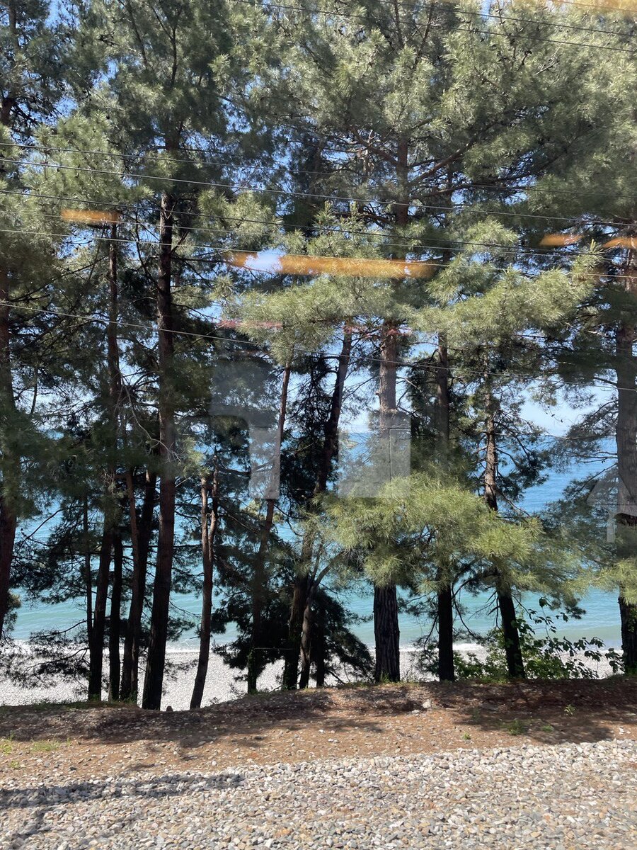 19 сентября прогноз астролога