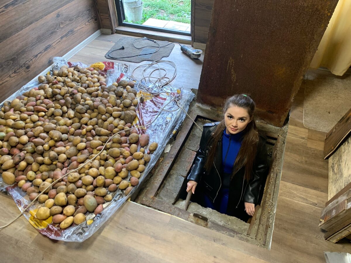 Что стало с нашим погребом под баней через год эксплуатации ...