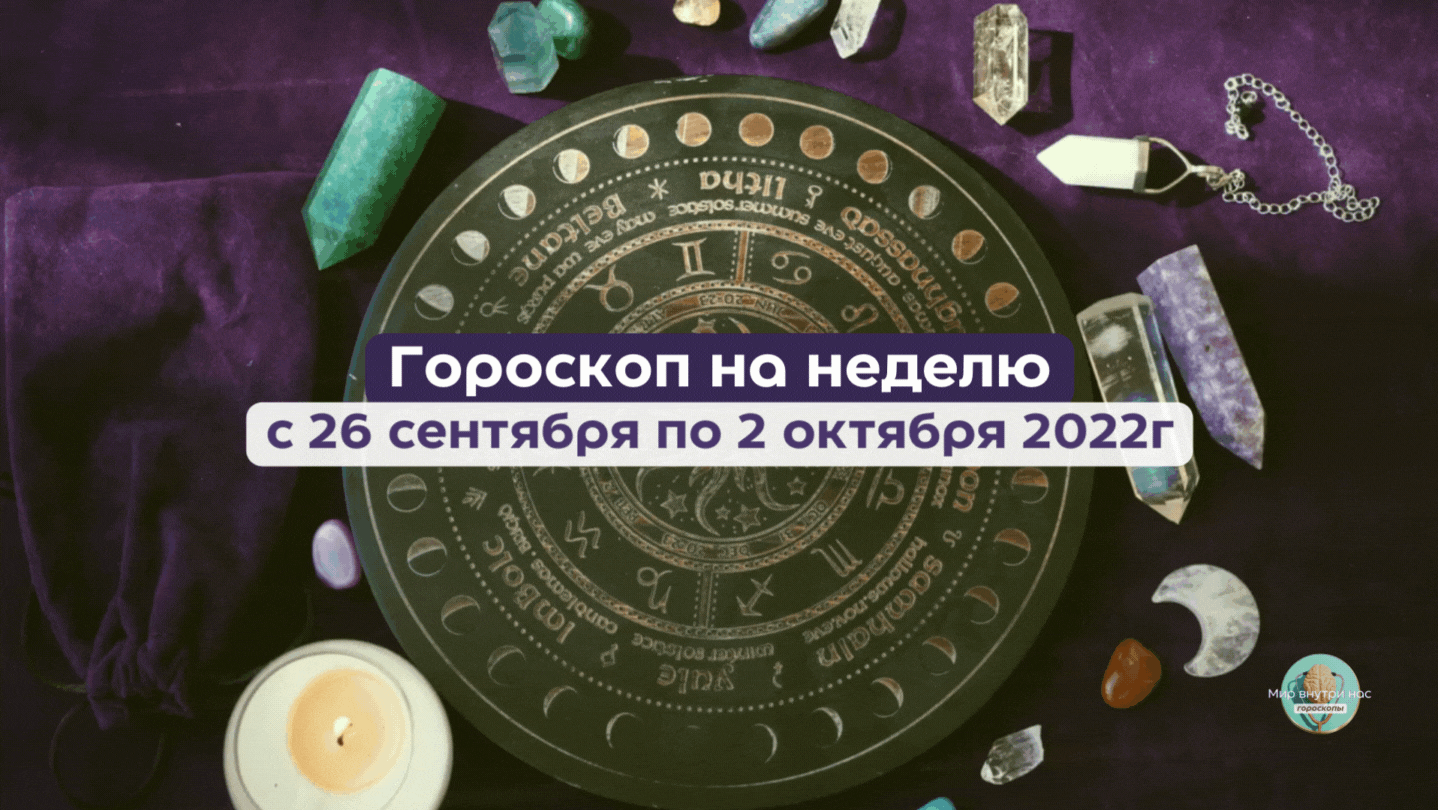 Видео: canva.com