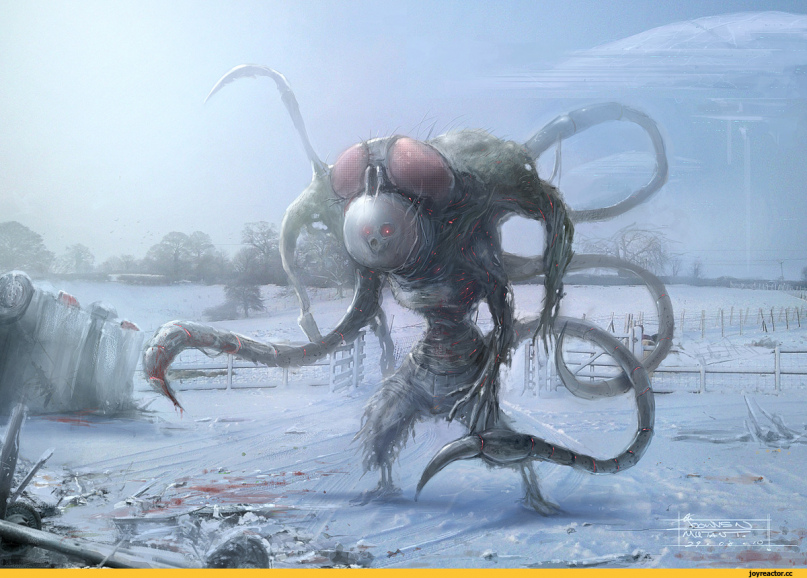 Волк. Яндекс картинки.