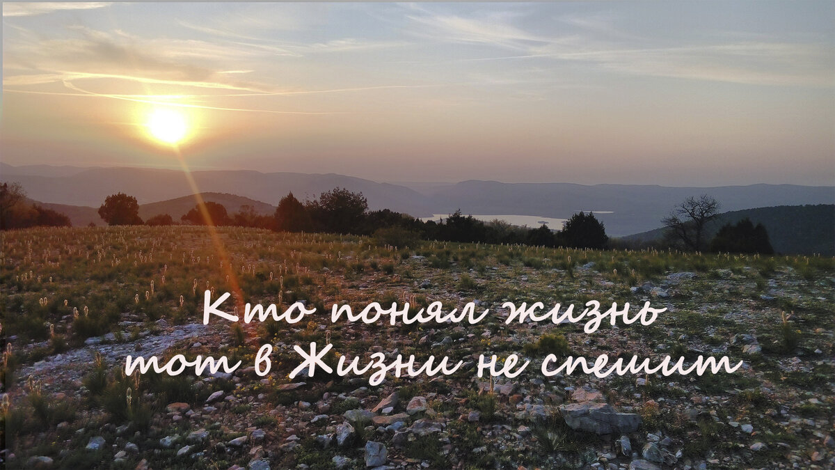 Жизнь может сиять, лучами солнца. 