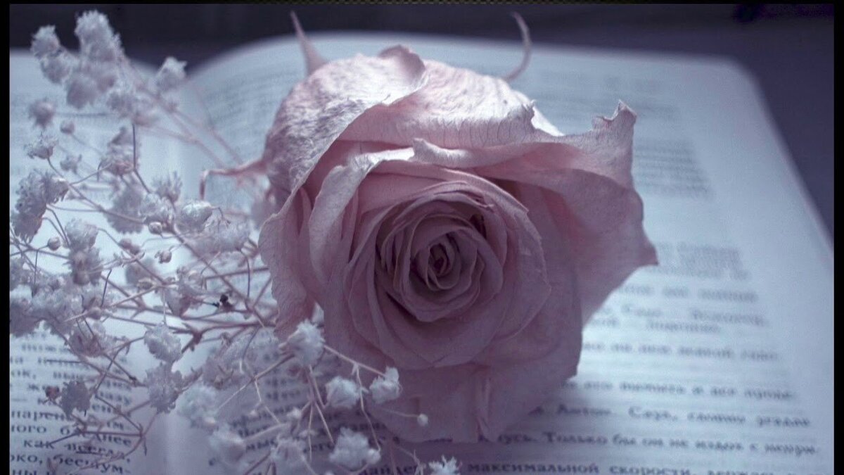 Фотография gamerwall.pro