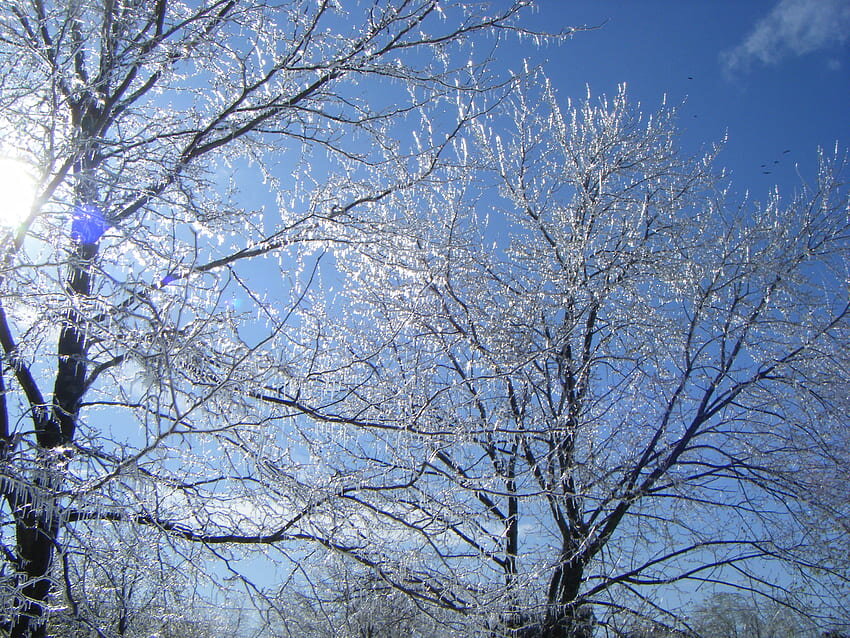 Фото www.pxfuel.com