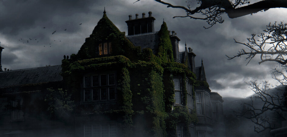 фото из открытых источников