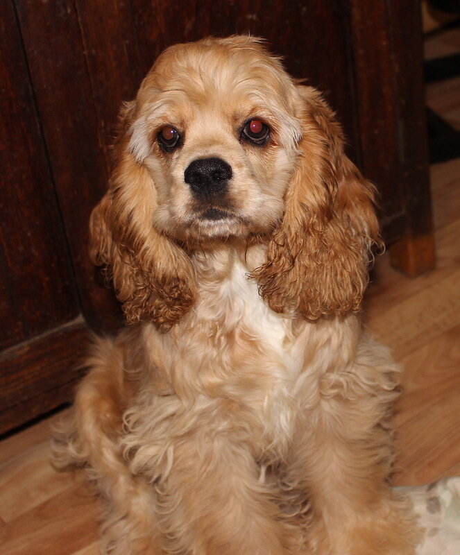 Фото из архива автора