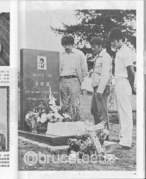 Источник Яндекс фото.