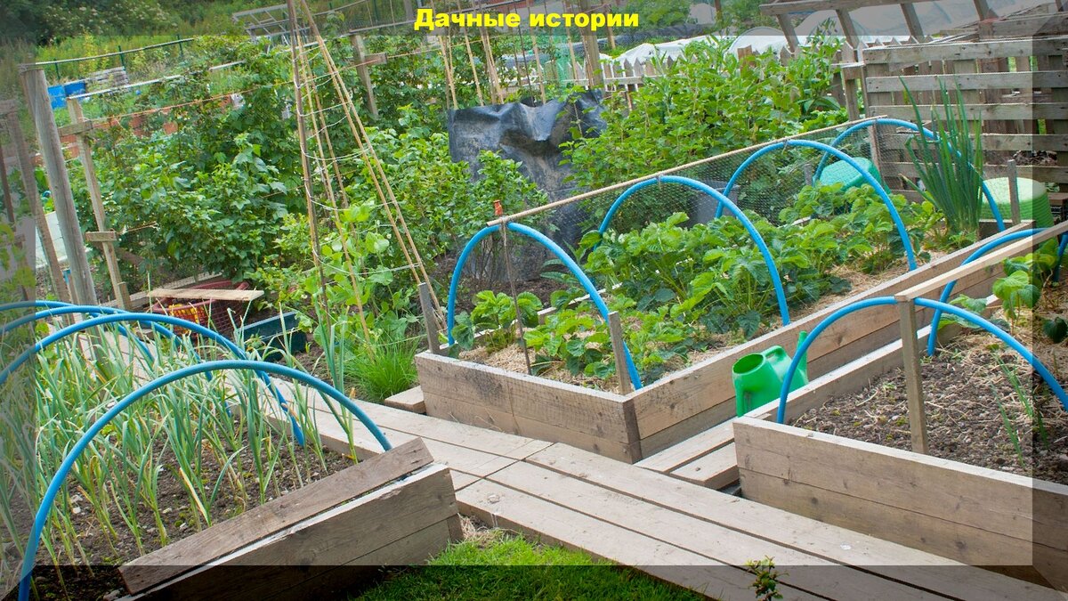 https://vk.com/photo-159774511_456241842