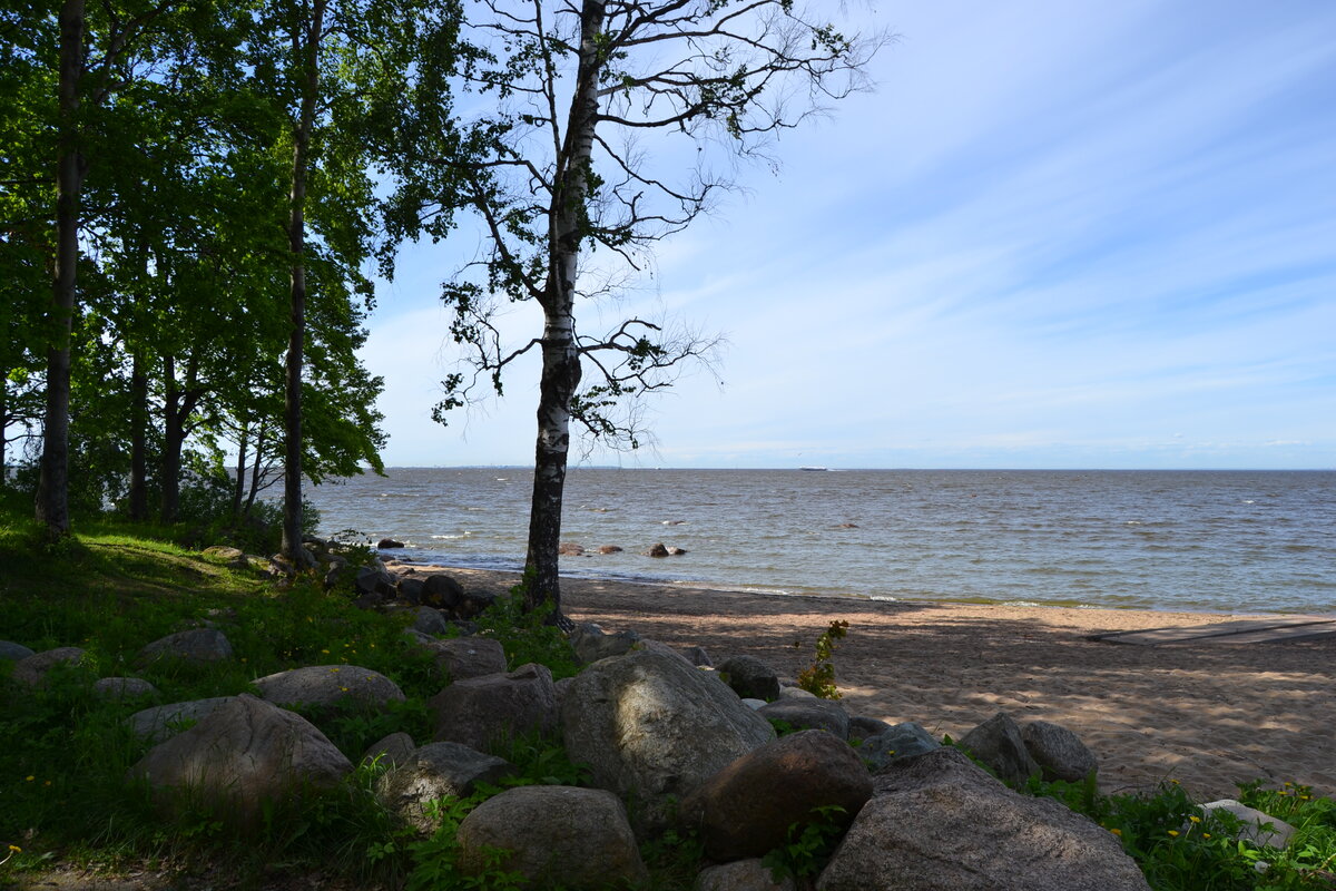 Парк на берегу финского залива в питере фото