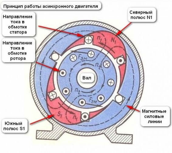 Назначение и классификация машин переменного тока