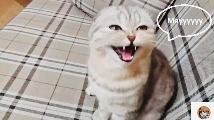 Давайте пройдем тест. 