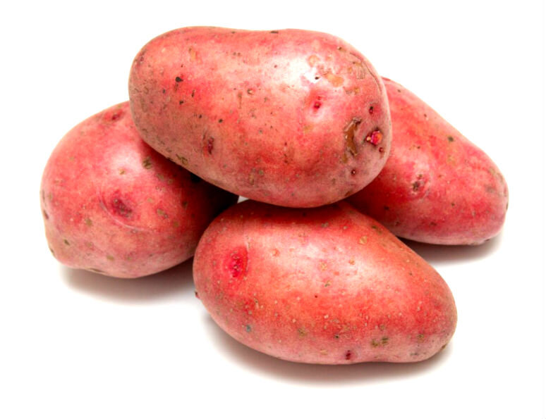 Сорт картофеля Розара 