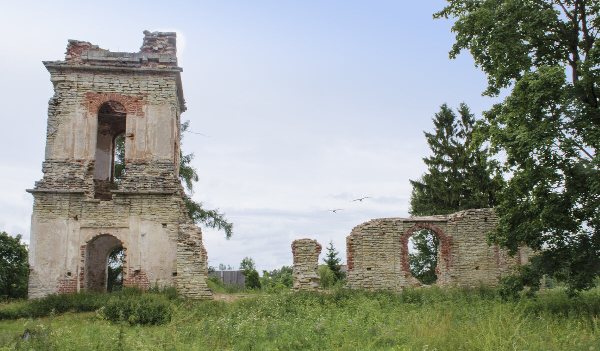 Никольское гатчинская. Никольское (село, Гатчинский район). Руины Никольской церкви. Гатчина развалины крепости. Никольская Церковь строительство руины.