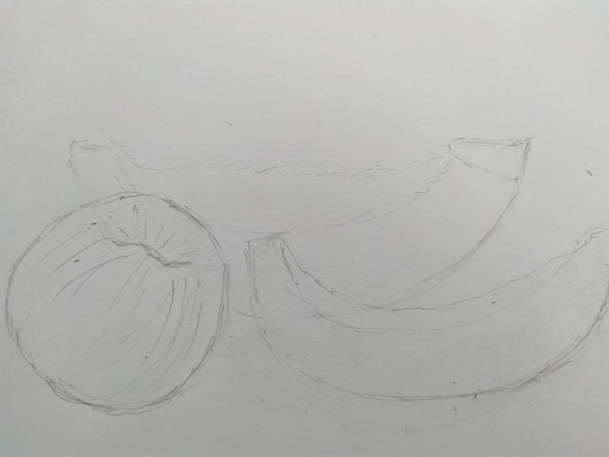 Фото и рисунок автора