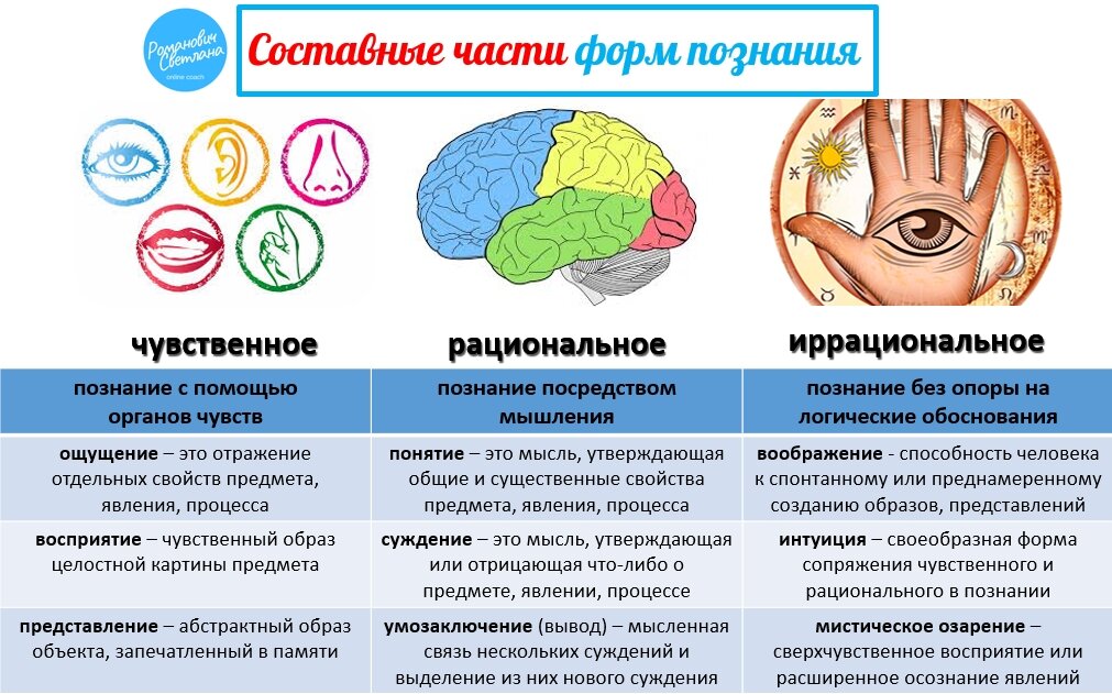 Рациональное познание картинки