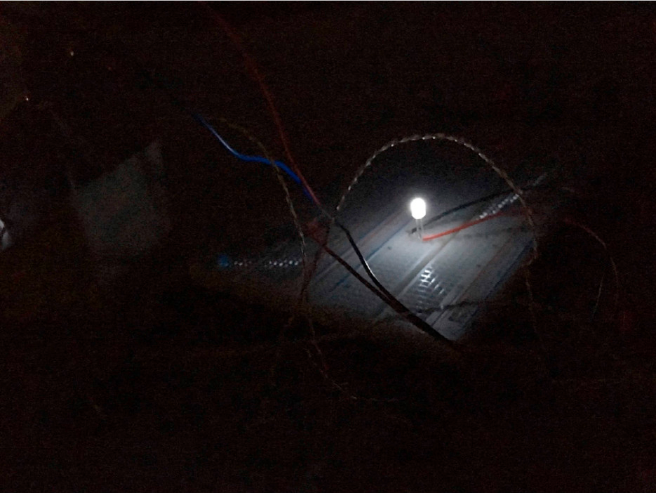 Фото: University of California & Stanford University