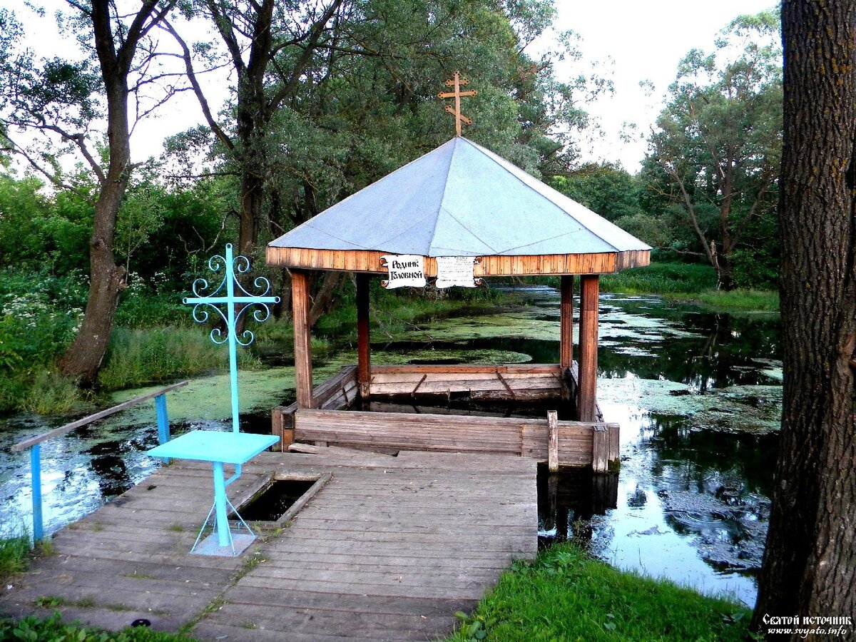 Над источник. Село Мазикино Родник. Родник Попов колодец Корочанский район. Короча купель Родник. Село Мазикино Корочанского района Белгородской области.