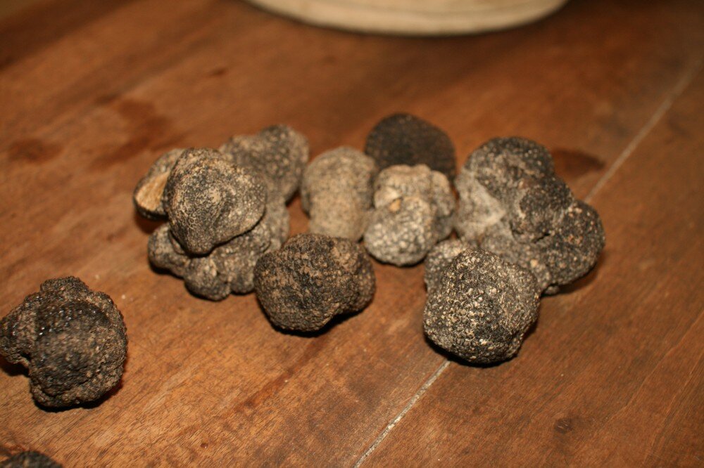 Это черный трюфель. Я снимал его в Провансе в департаменте Дром