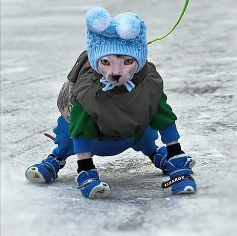 Фото из профиля в инстаграм @portos.sansara.cat
