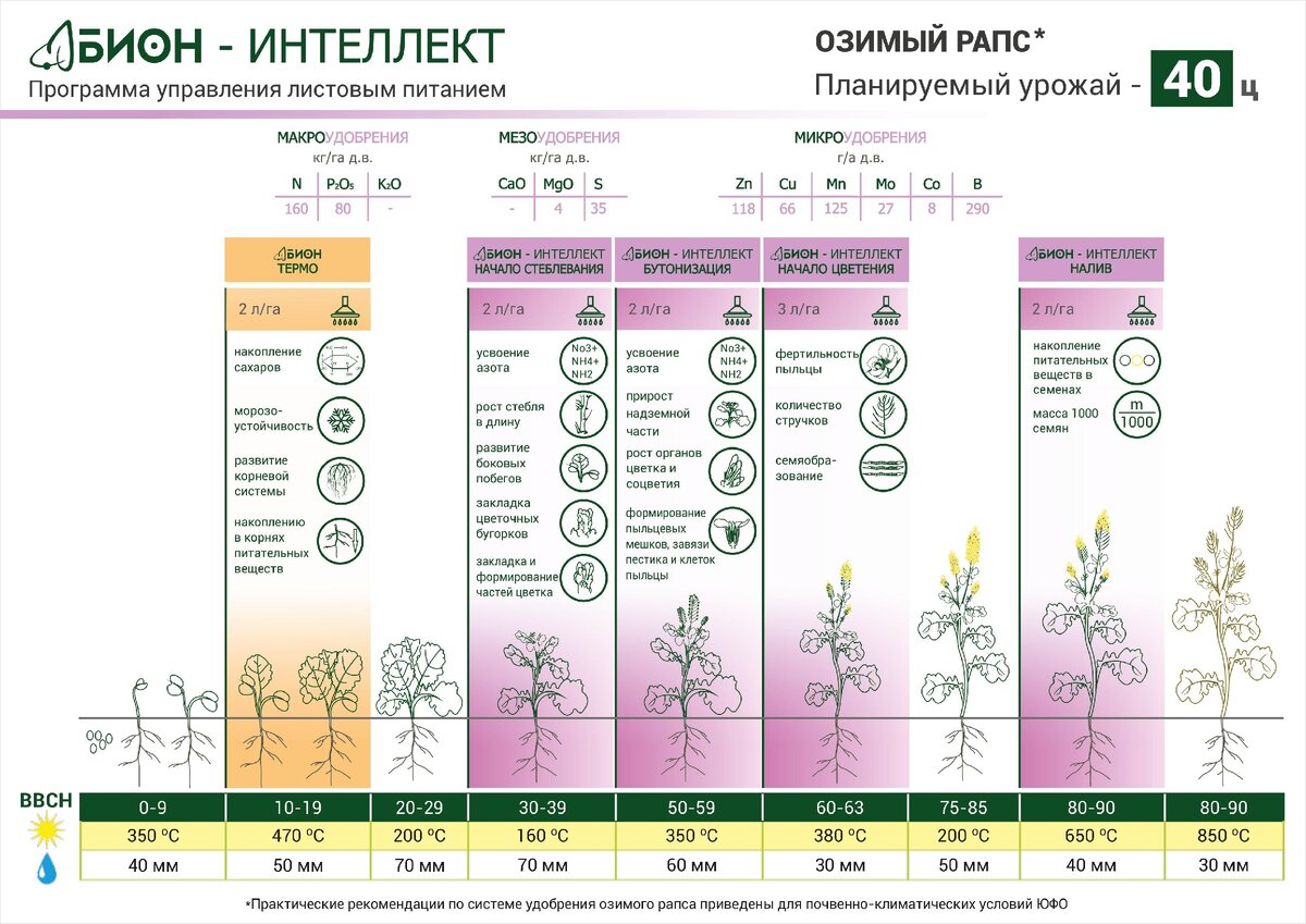 План рупрехта в чем заключается