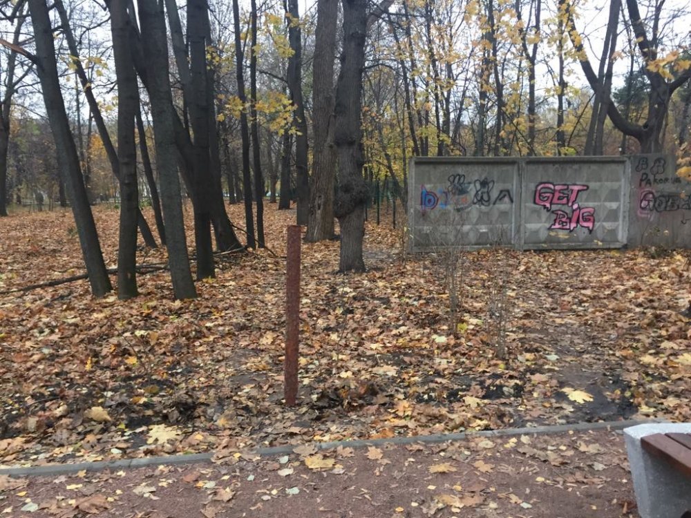 Парк "Березовая роща" в районе Хорошевский. Фото: Facebook / Любовь Якубовская 