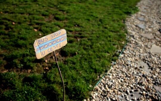  Ученье без принуждения