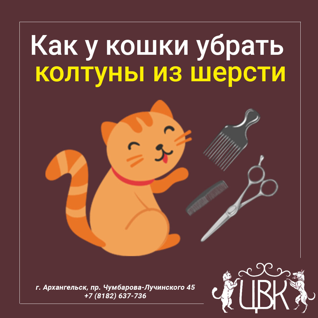 Убери кошку