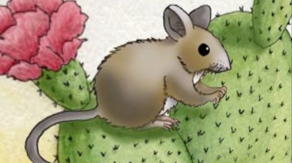 Мыши плакали, кололись, но продолжали есть кактус... ДИЕГО НЕ ТАКОЙ!