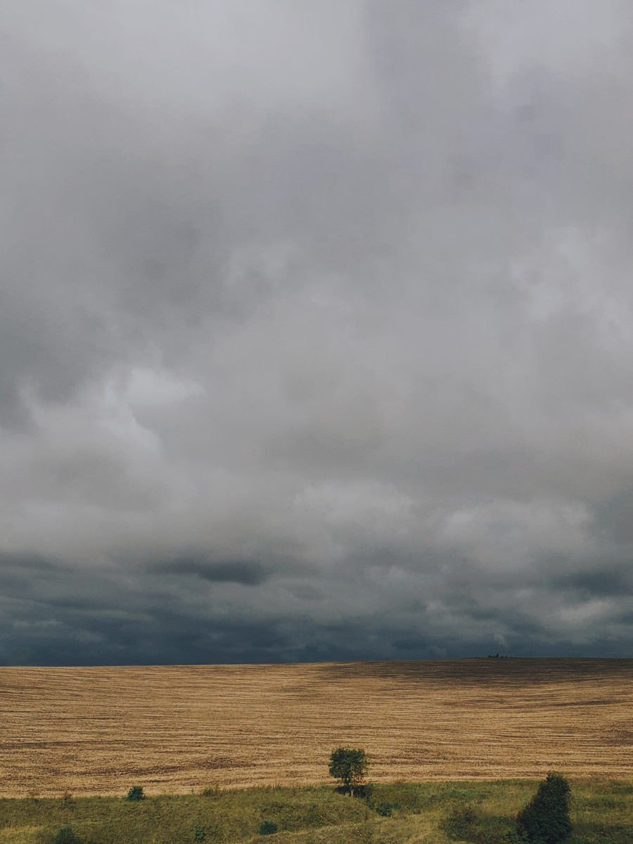 Затишье перед бурей