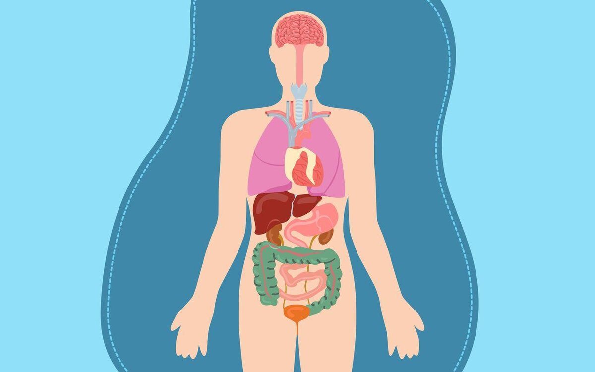 фото из Яндекса