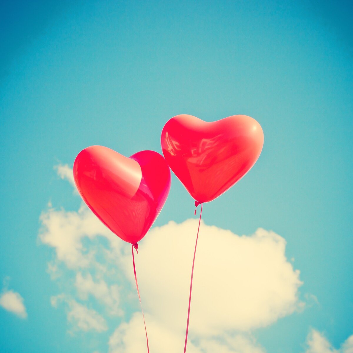 * All you need is love...