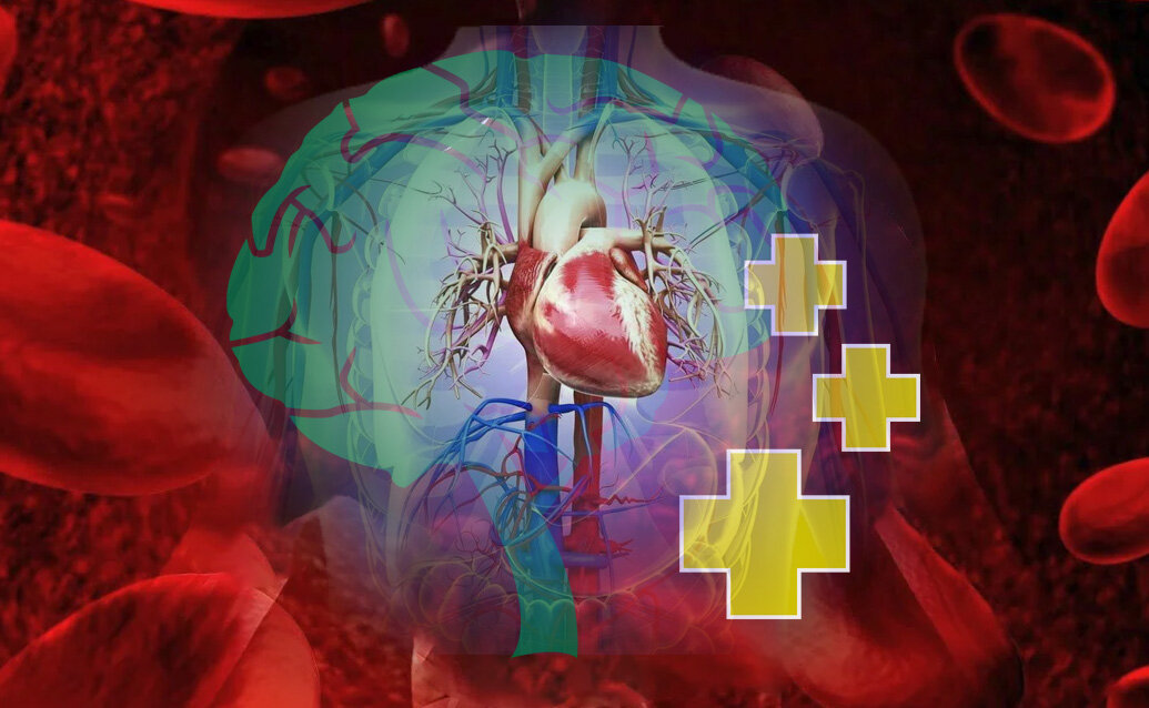 Сердечно-сосудистые заболевания. ССЗ