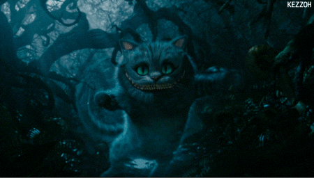 Изображение взято из открытого источника