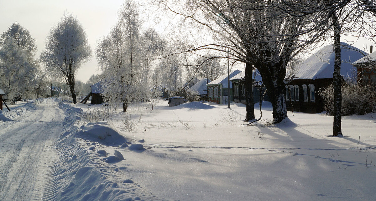 Фото из Яндекс Картинок