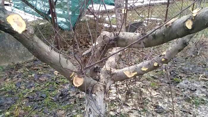Так обрезку делать нельзя.