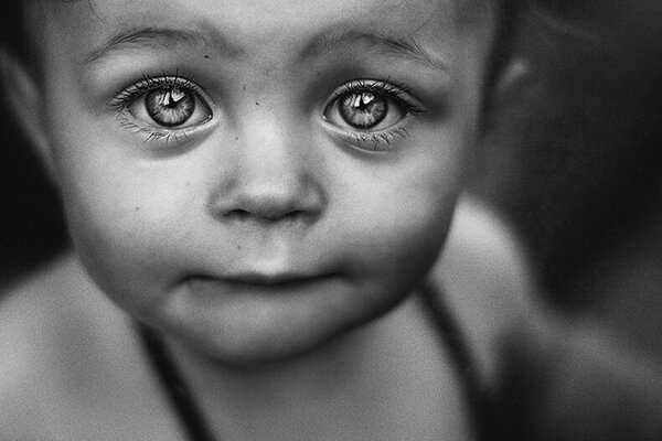 Изображение из открытого доступа