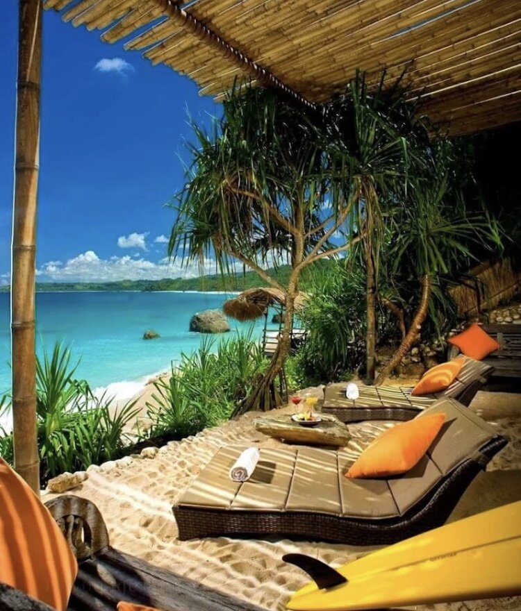 Фото взято с портала Яндекс. Картинки 