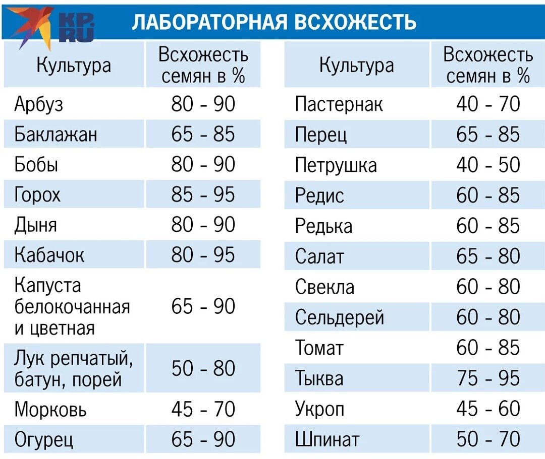 Графика kp.ru