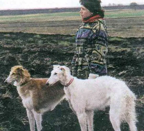 Фото Сергей Тишкевича и Владимира Киселёва