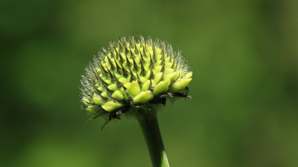 Любить — значит позволять быть тому, что есть. 