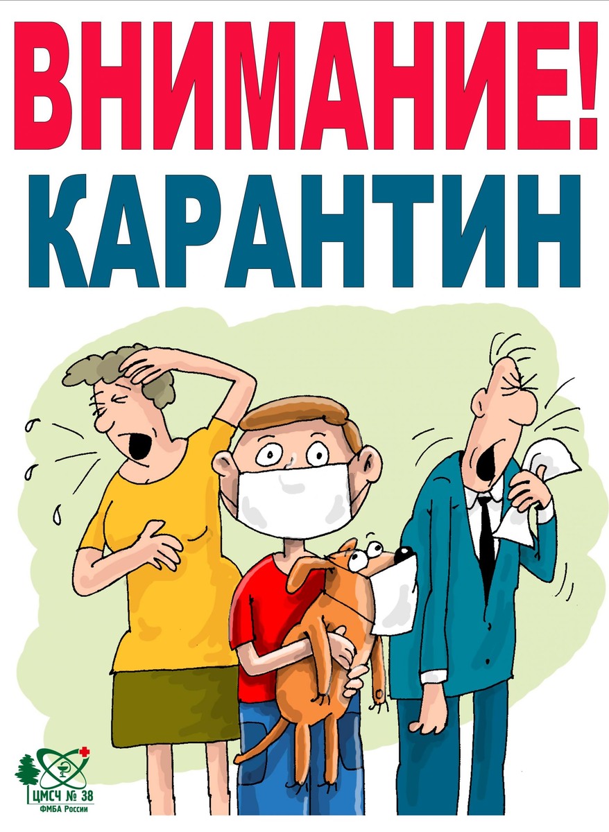 Карантин в МО