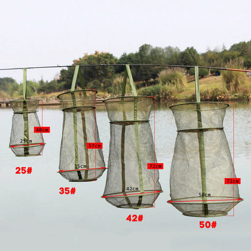 фото с сайта