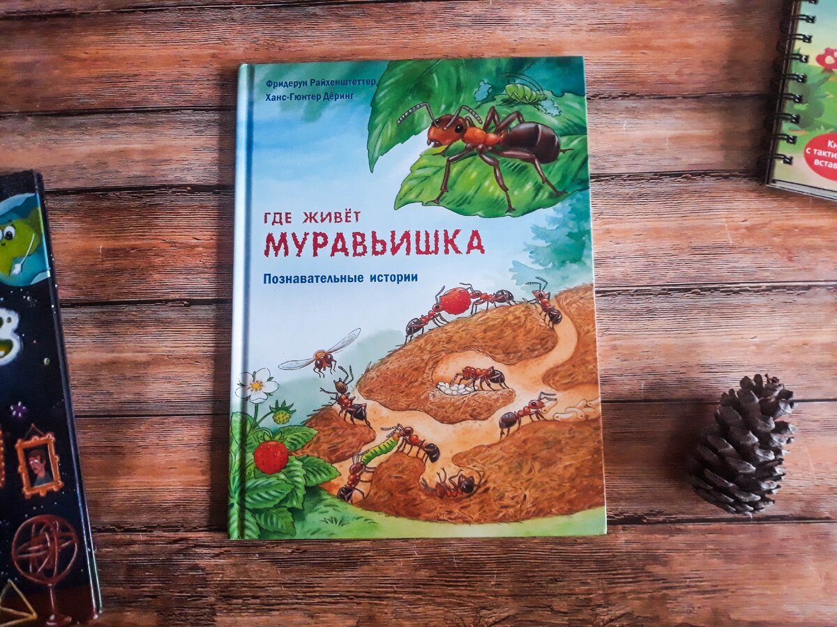 Где живёт муравьишка. Познавательные истории | Райхенштеттер Фридерун