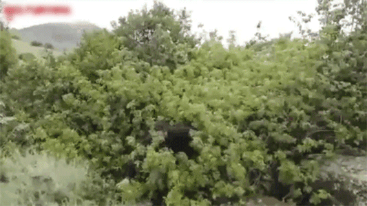 1-ая часть