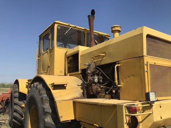 Фото из Яндекс Картинок