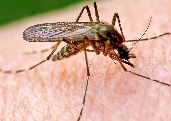 Истина совсем рядом 