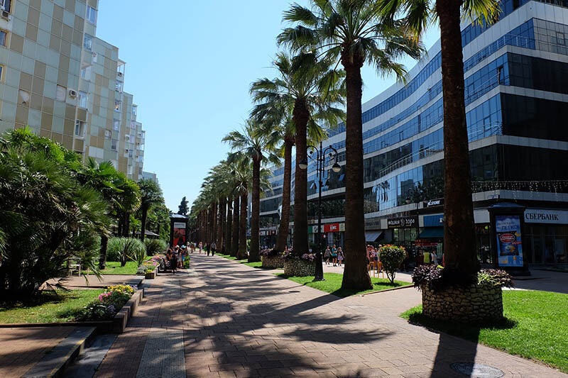 Центр Сочи