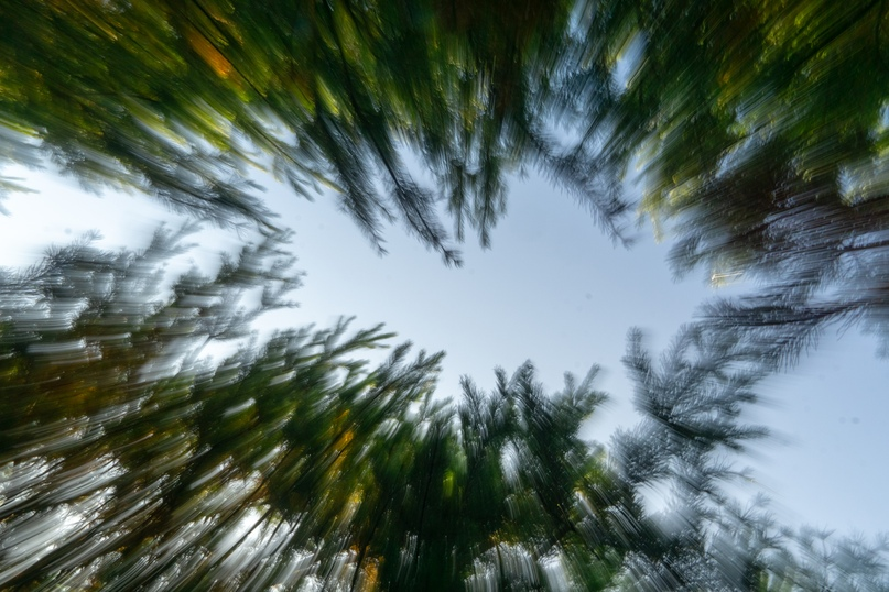 Дина Абубакирова ©