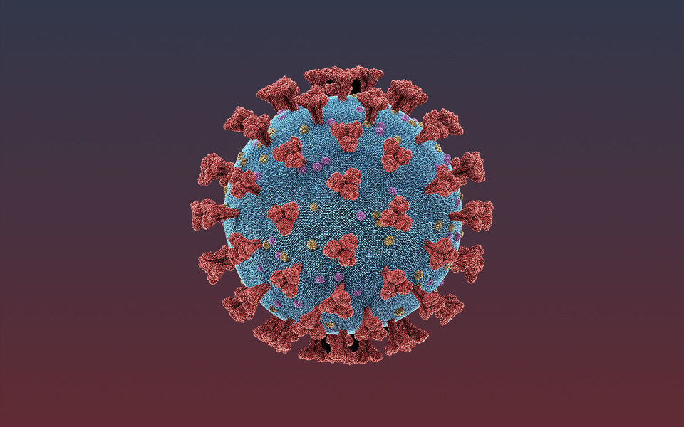 Фото: https://esquire.ru/articles/175023-koronavirus-k-1-maya-bolee-32-milliona-zarazhennyh-v-mire-skonchalis-bolee-233-tysyach-chelovek/