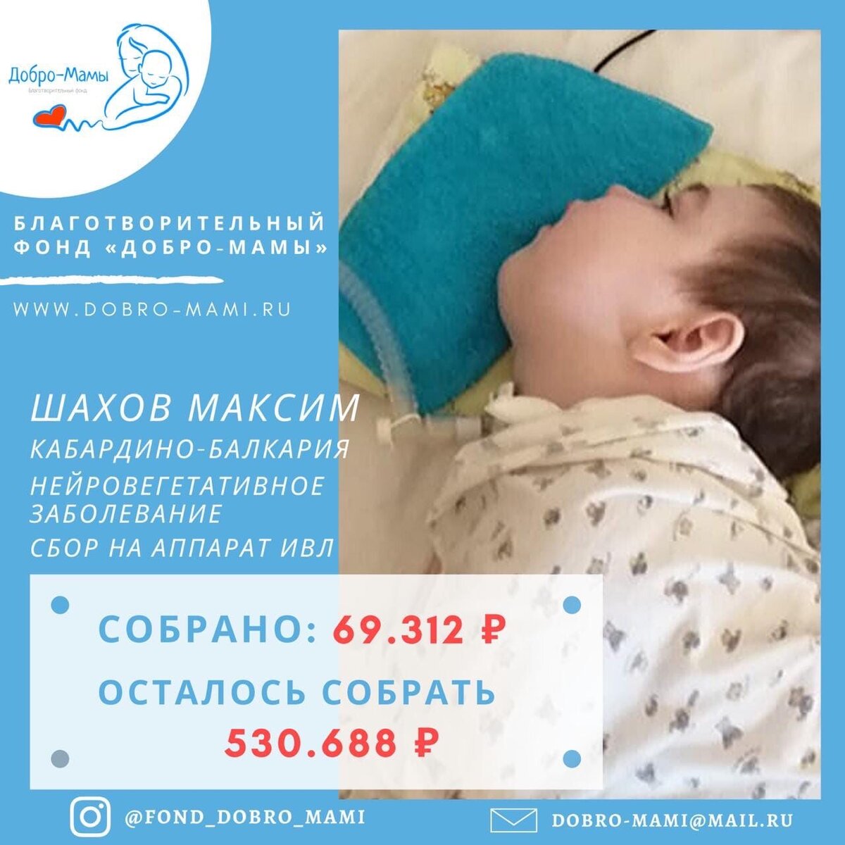 Фото принадлежит автору